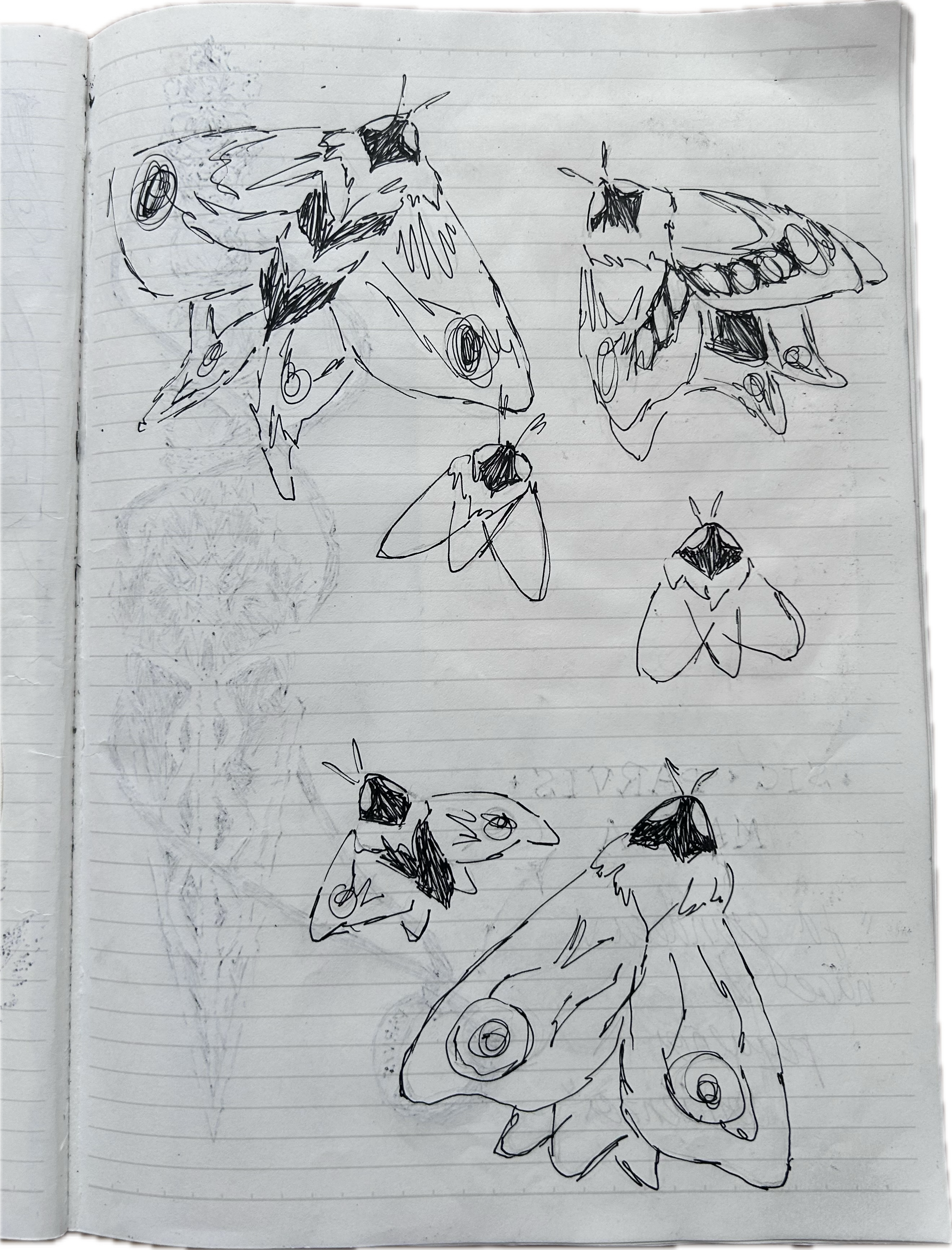 Página de sketchbook 1