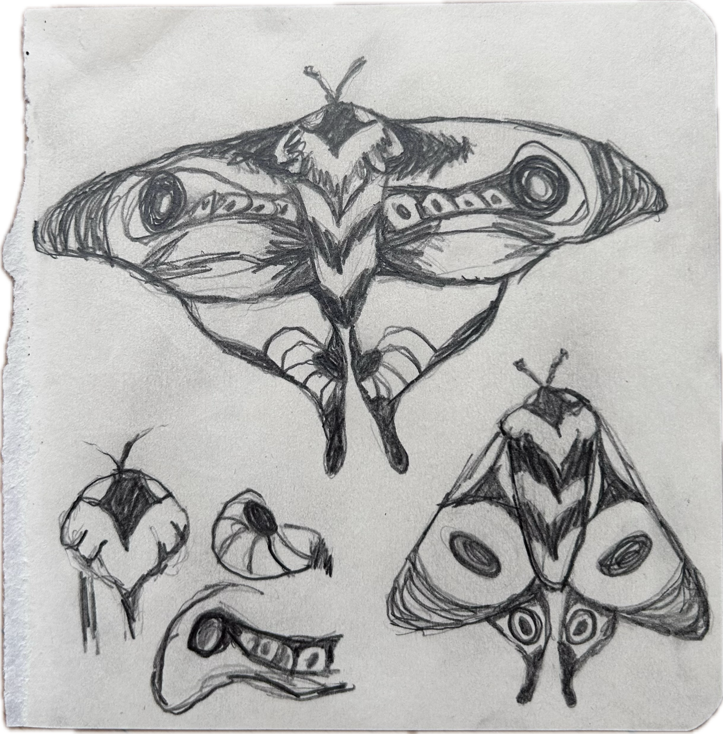 Página de sketchbook 11