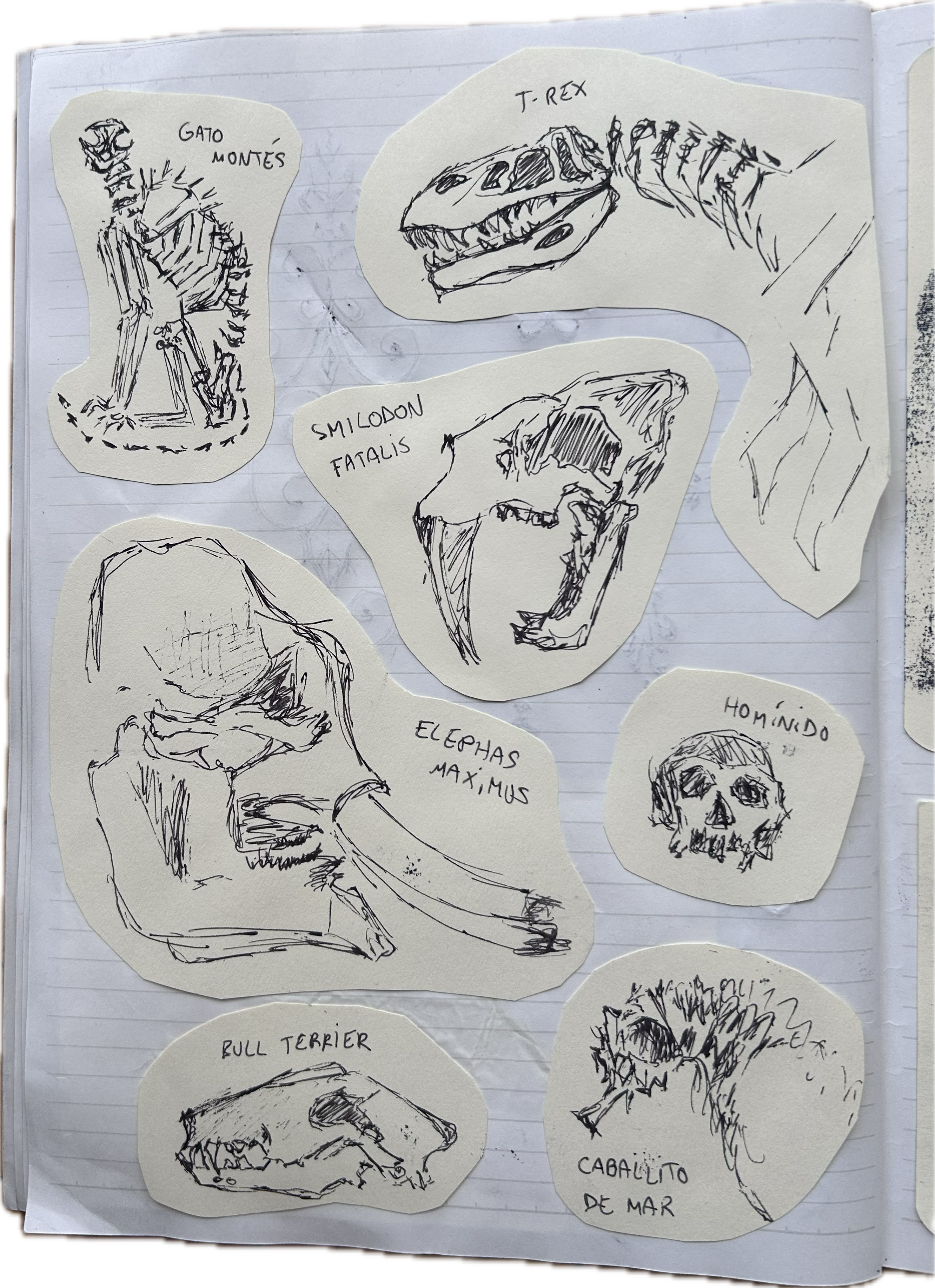 Página de sketchbook 2